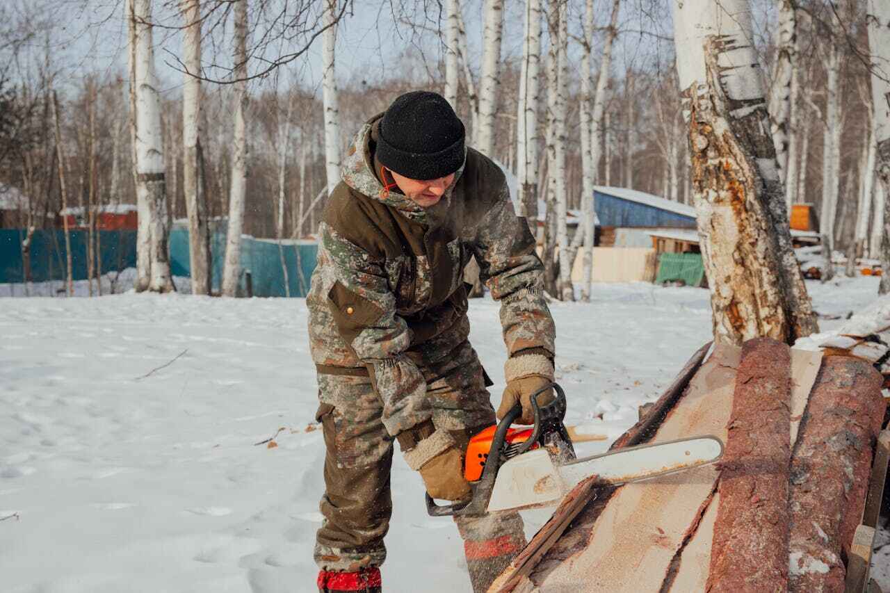 Best Residential Tree Removal  in Abingdon, IL